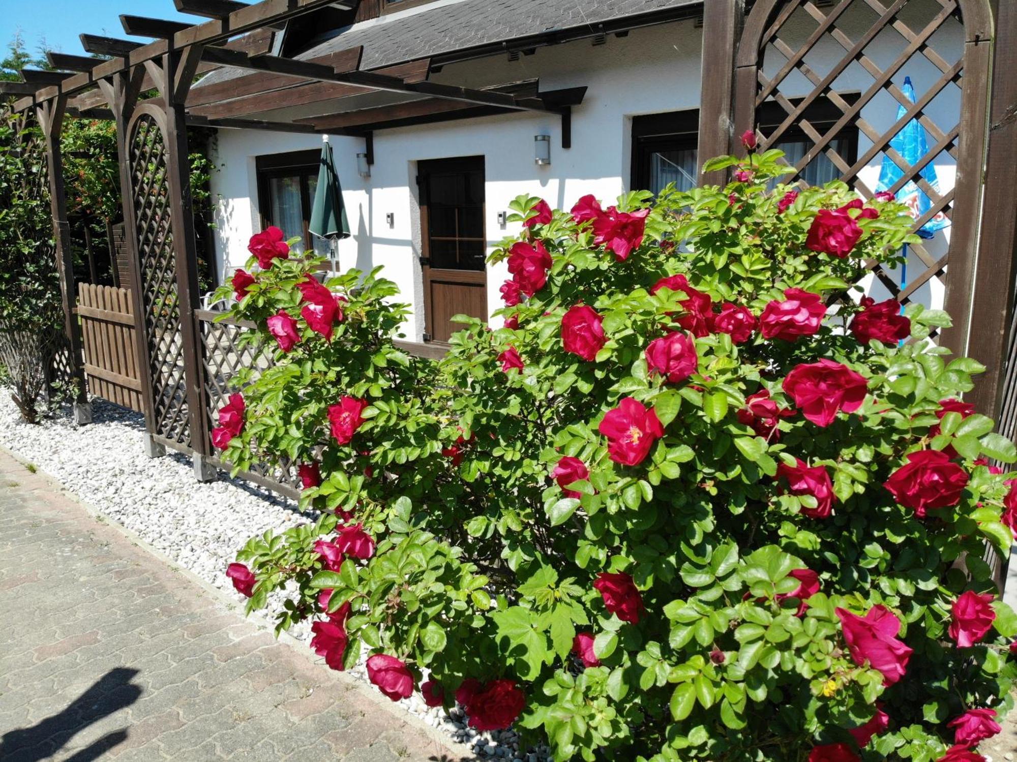 Ferienhaus Kress Rechts Sellin  Exterior foto